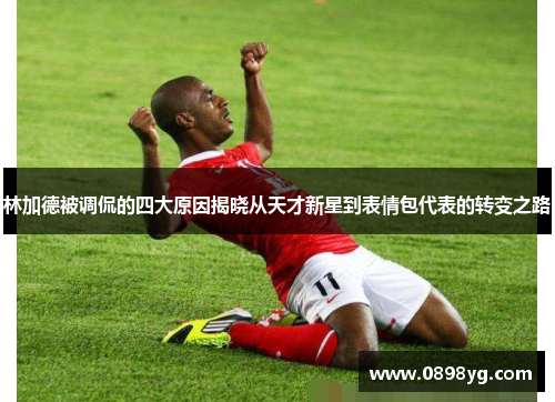 林加德被调侃的四大原因揭晓从天才新星到表情包代表的转变之路